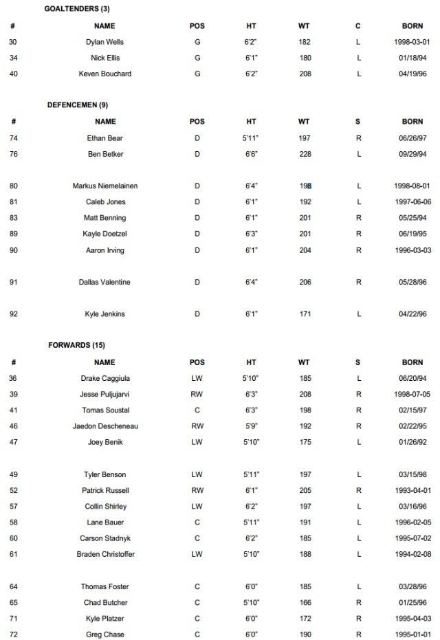 Oilers young stars roster