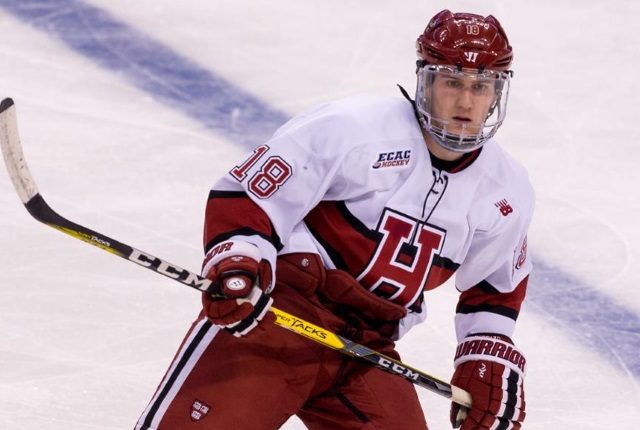 The New York Rangers have acquired the rights to the defenseman Adam Fox from the Carolina Hurricanes.