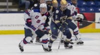 Ty Smilanic could work his way into the first round of the 2020 NHL draft
