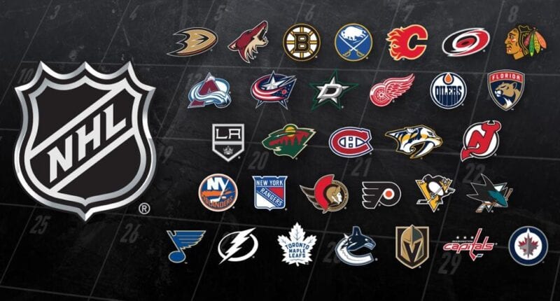 Taking a look at the current 2021 NHL draft picks that each team owns. With the NHL trade deadline later this month, many picks will be moved.