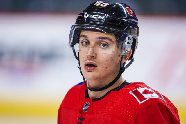 The Calgary Flames have a very deep prospect pool. The cream at the top of their pool is solid with Connor Zary and Jakob Pelletier.