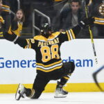 NHL Rumors: Boston Bruins Group VI Free Agents And Vejmelka