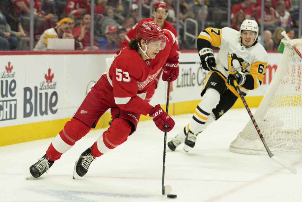 Detroit Red Wings Stanley Cup Odds: The Detroit Red Wings will improve from last year but are in tough in the Atlantic Division.