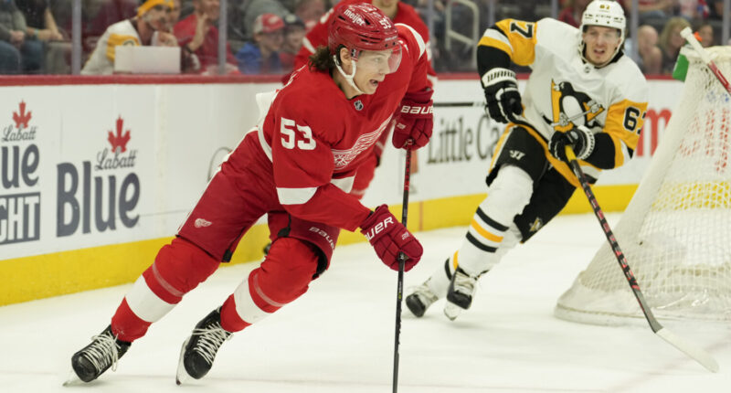 Detroit Red Wings Stanley Cup Odds: The Detroit Red Wings will improve from last year but are in tough in the Atlantic Division.