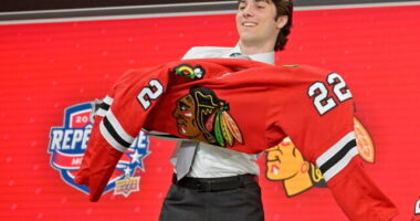 Chicago Blackhawks Prospects: They already have a decent prospect pool and they'll add more assets by the trade deadline to deepen the pool.
