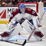 NHL Injuries: Bruins, Avs, Red Wings, Panthers, Predators, Rangers, Leafs, Canucks, and Golden Knights