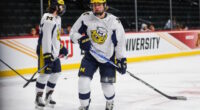Kevyn Adams wants to complete the Buffalo Sabres offseason. What could the Winnipeg Jets get back for Rutger McGroarty?