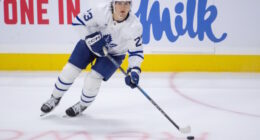 The Toronto Maple Leafs may have had some extension talks with Matthew Knies. Some teams may have inquired about Dennis Hildeby last season.